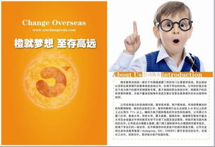 點(diǎn)亮未來(lái)，啟迪夢(mèng)想——橙至教育咨詢圖冊(cè)引領(lǐng)教育新航向